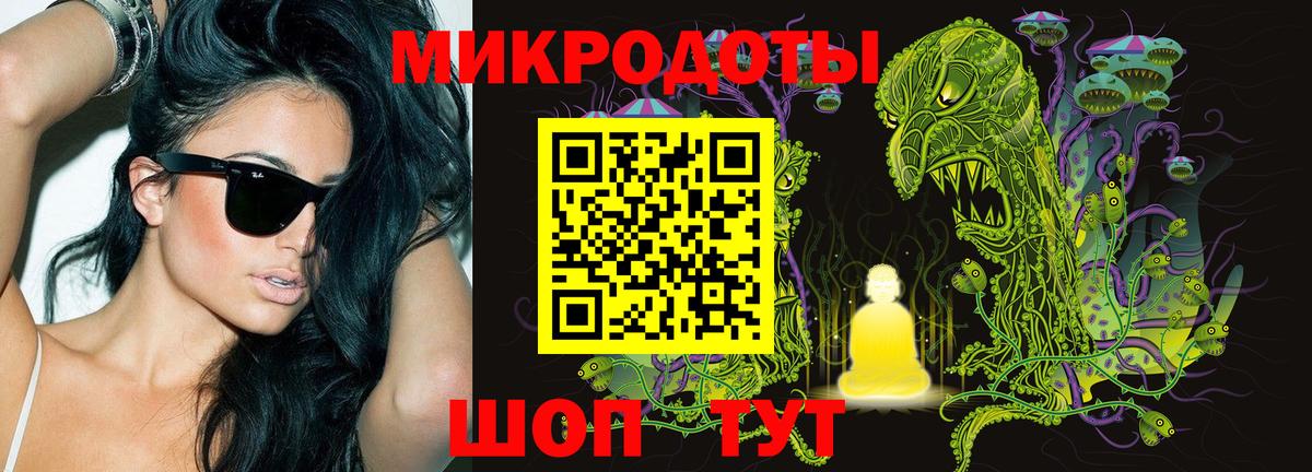 Псилоцибиновые грибы Magic Shrooms  Галлюциногенные грибы Psilocybe  Сертолово  где можно купить наркотик  Вход с VPN 