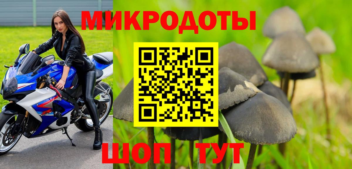 Галлюциногенные грибы мицелий Сертолово